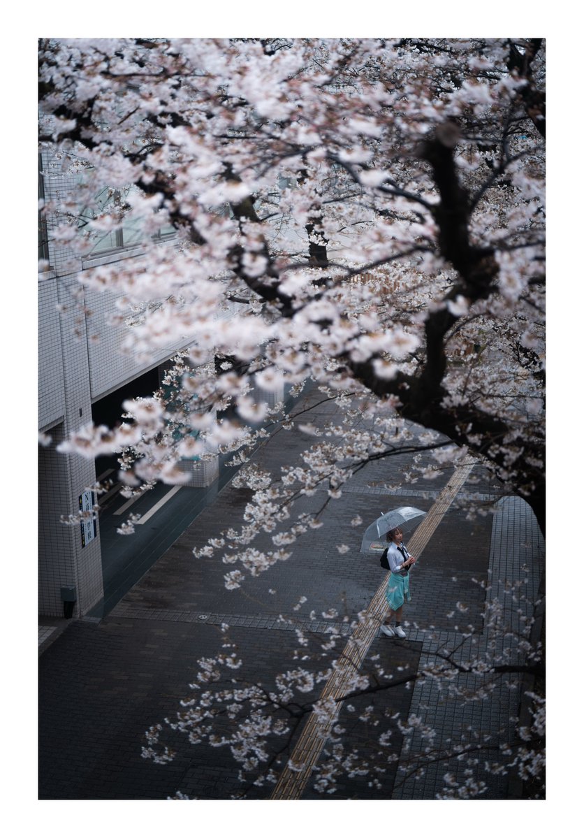 栞音シオン tweet media