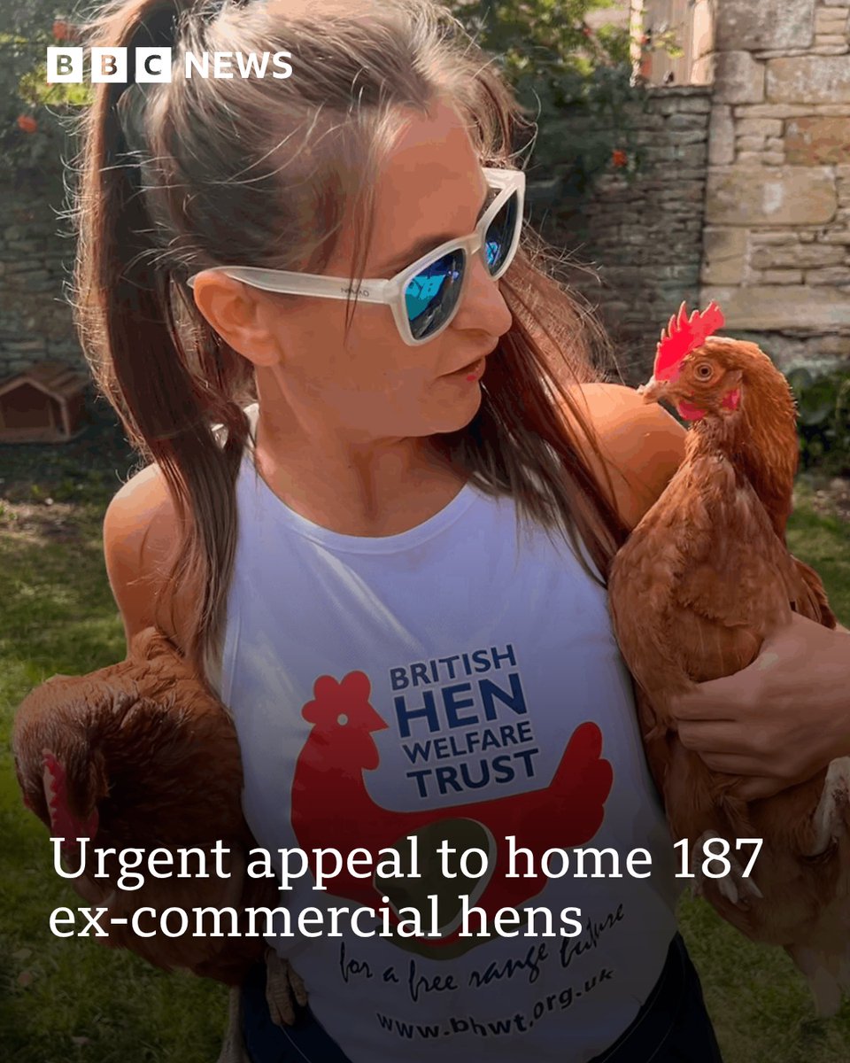 BBC Surrey tweet media