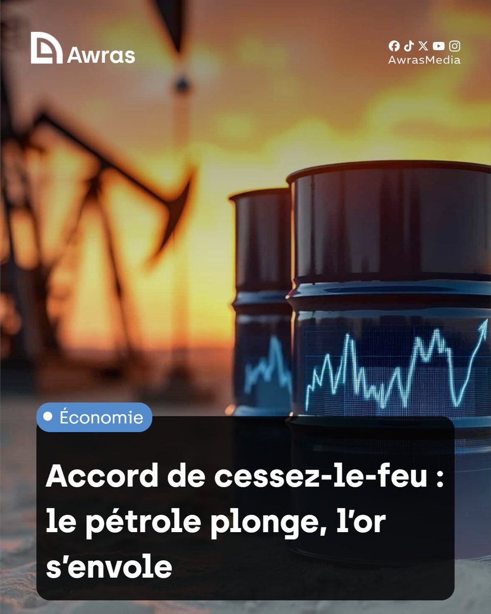 أوراس | Awras tweet media