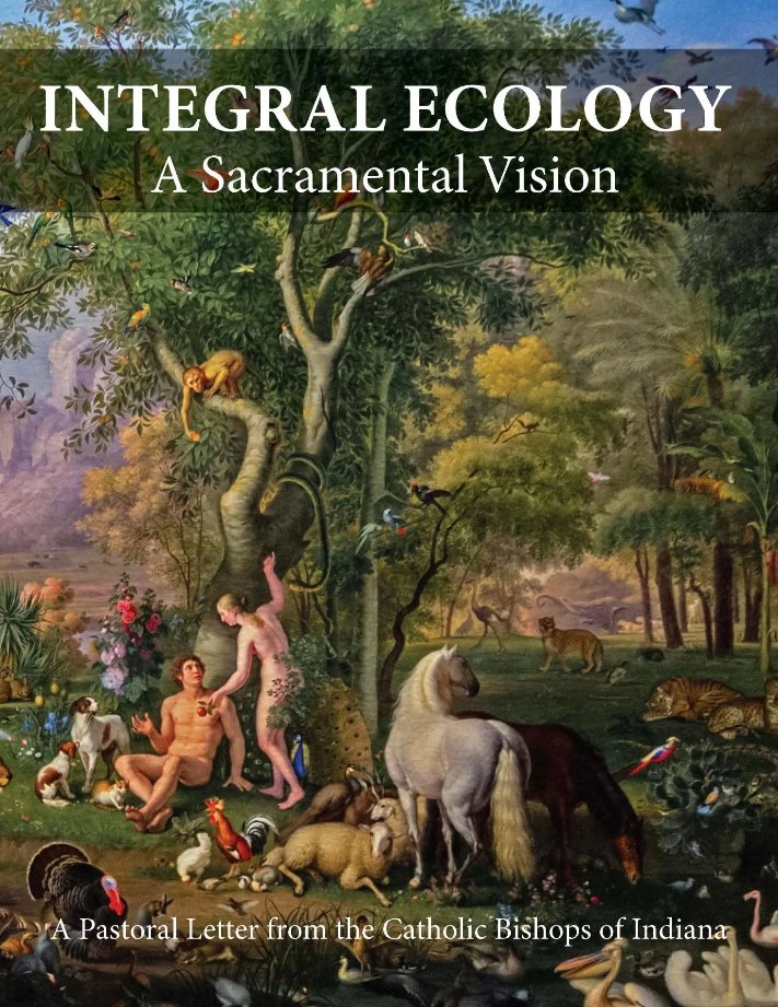 Integral Human Development tweet media