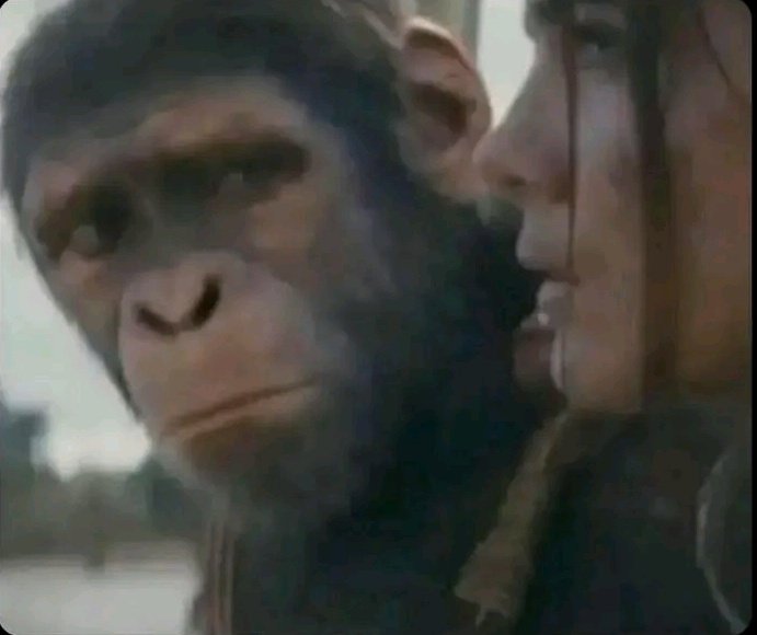 𝙰𝚑𝚖a𝚍👻 tweet media