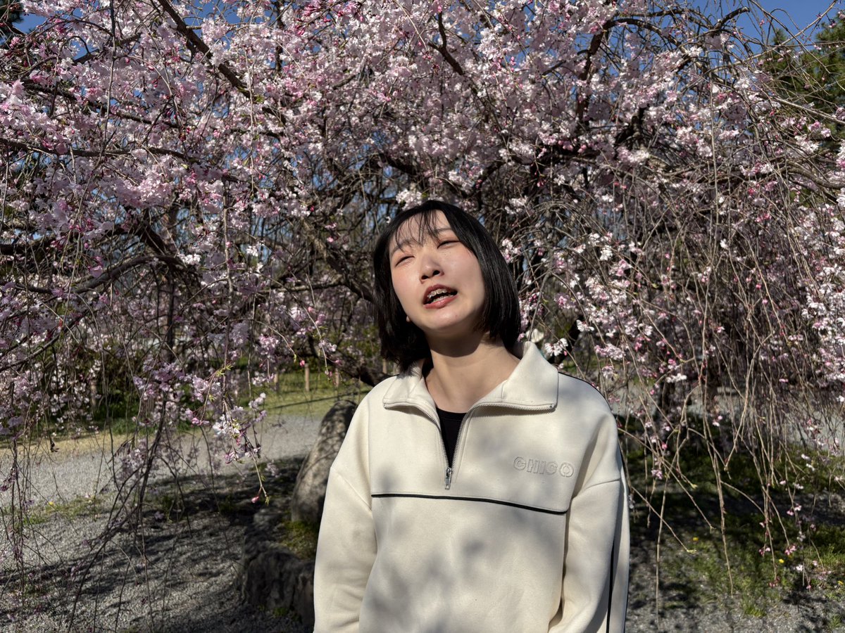 夏目れみ tweet media