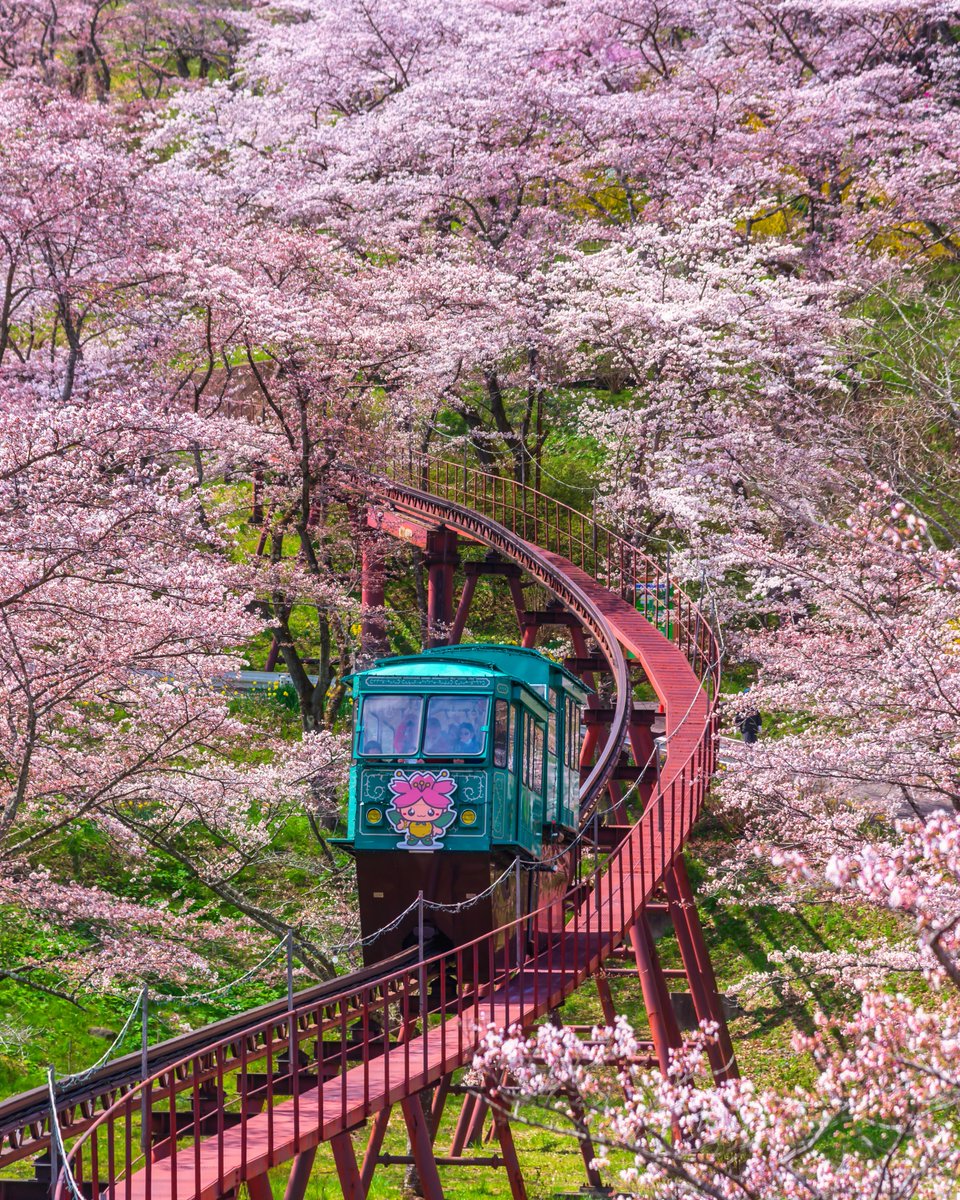 A Different Side of Japan tweet media