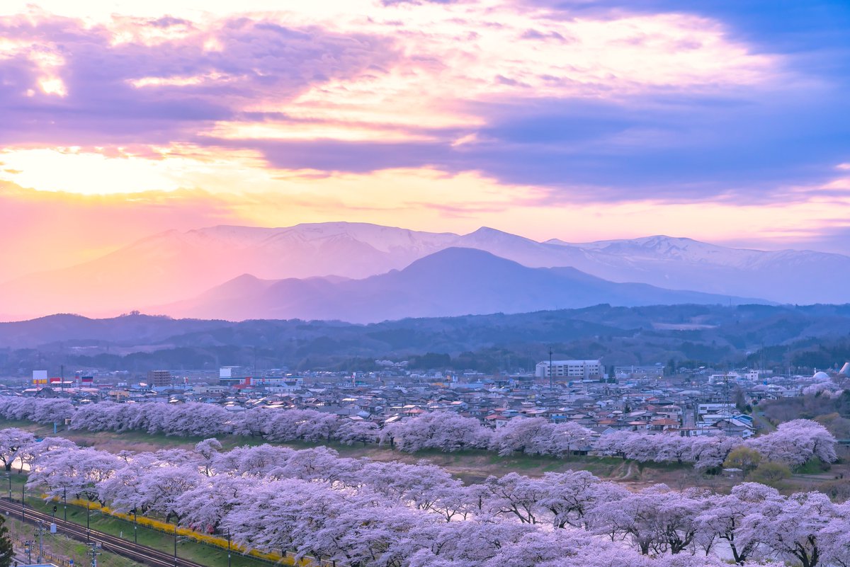 A Different Side of Japan tweet media