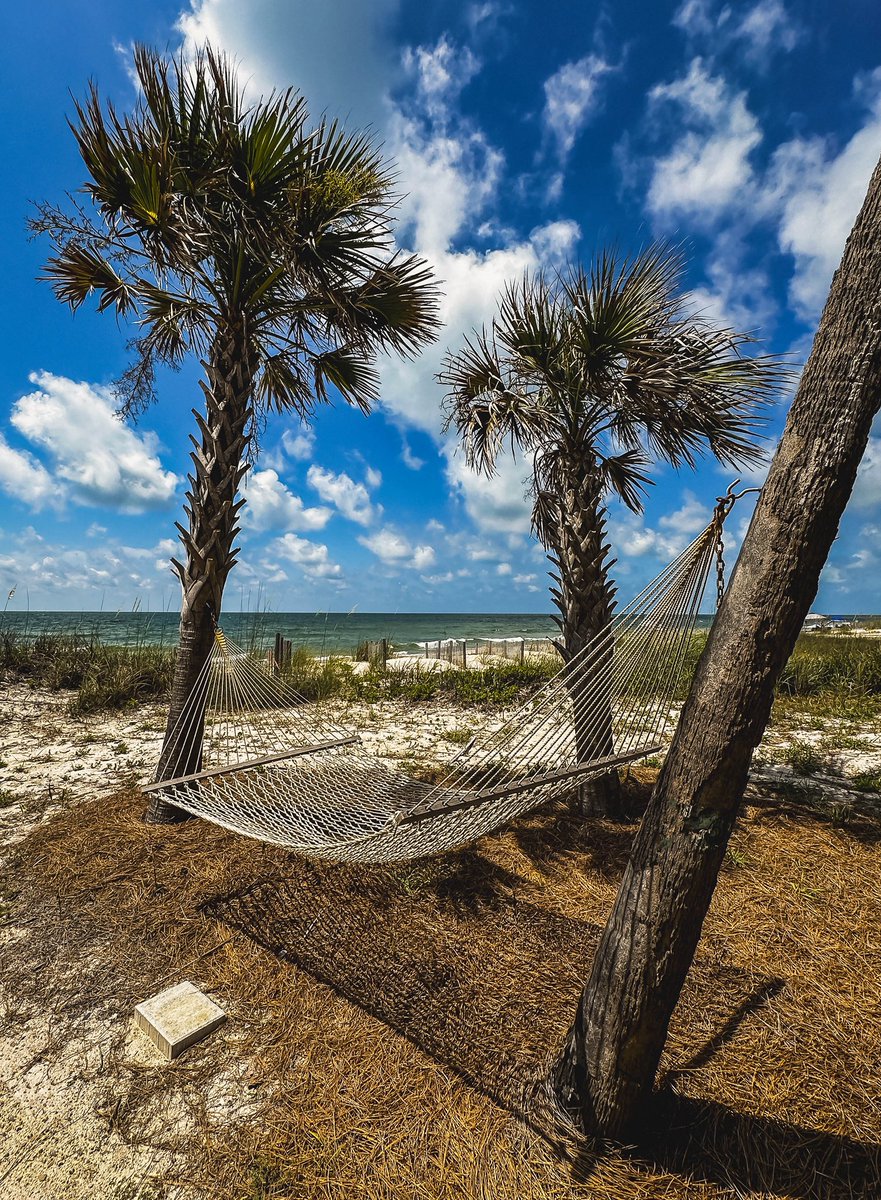 It’s time for a nap: istockphoto.com/portfolio/bob_… #hammock #Florida #panhandle #StGeorgeIsland #beach #sand #palmtrees #blue #sky #clouds #peaceful #tranquil #vacation #destination #summer #2026 #travelpics #travelphotos #gettyimages #dunes #seagrass #relaxation #gulf #gulfcoast #sea