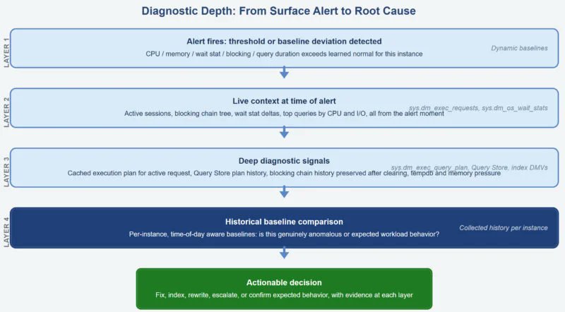Viktoria Vishniak tweet media