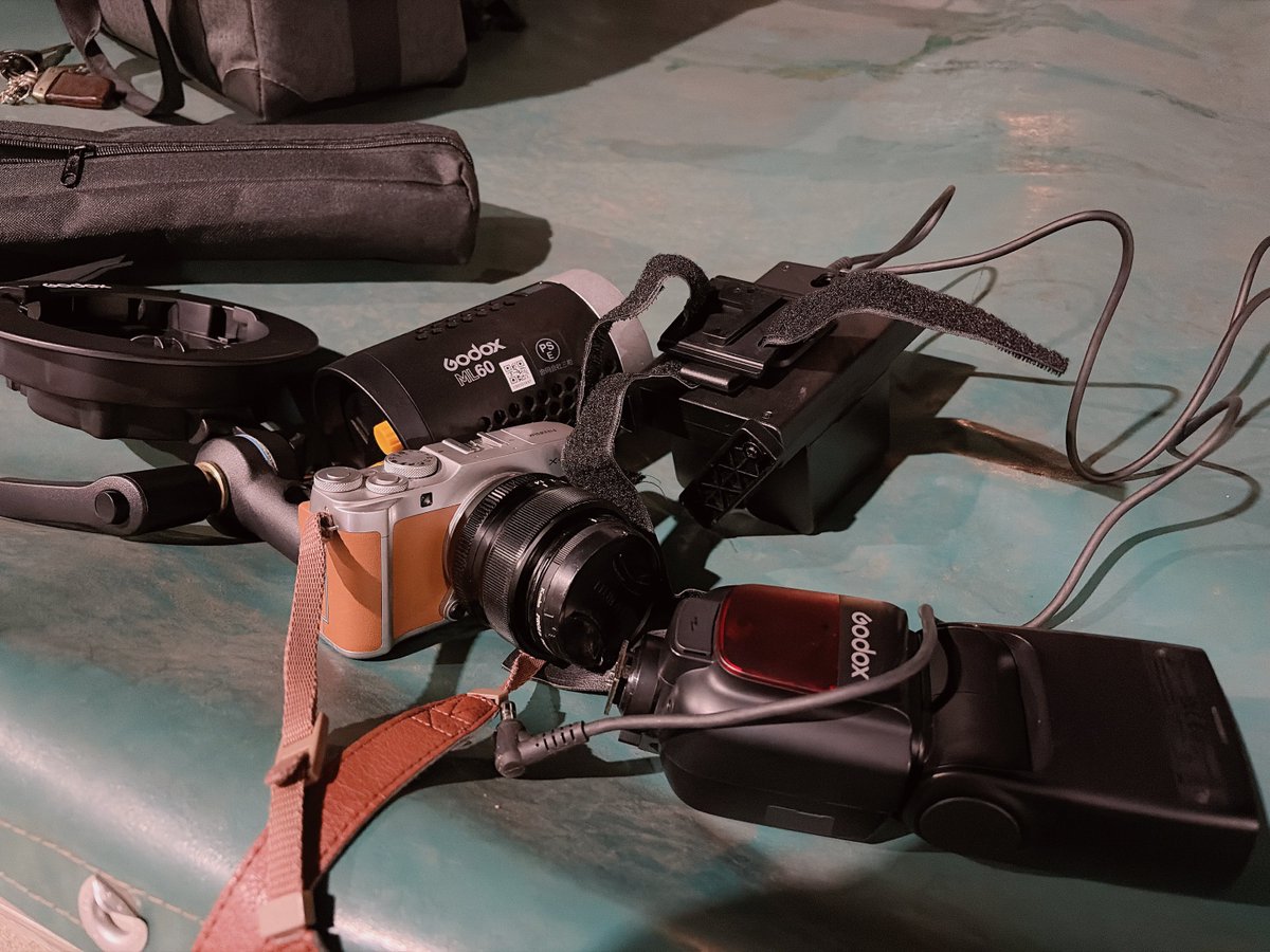 ロール発射🐙 tweet media