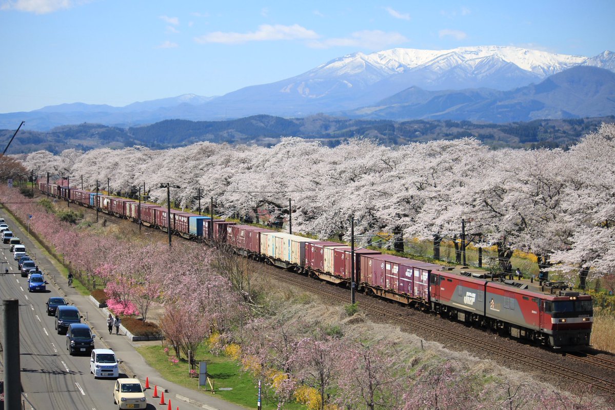 陸西東 tweet media