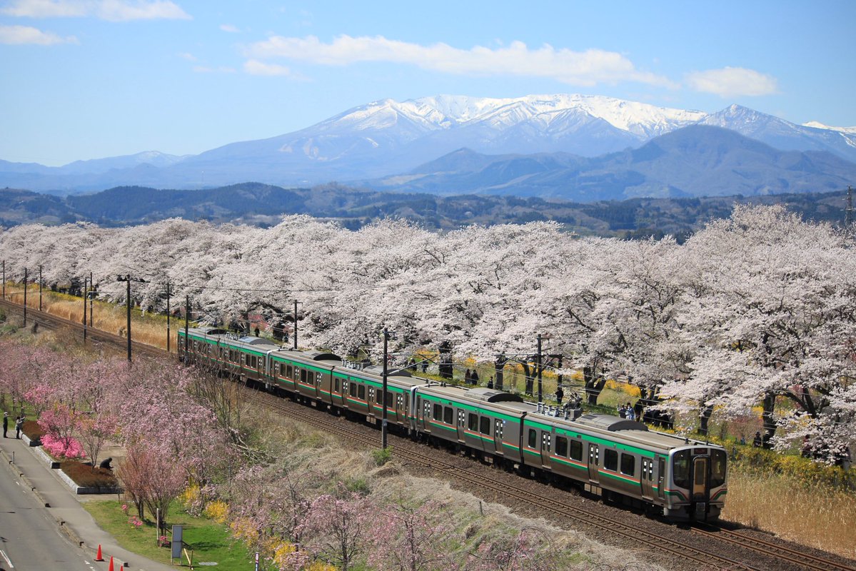 陸西東 tweet media