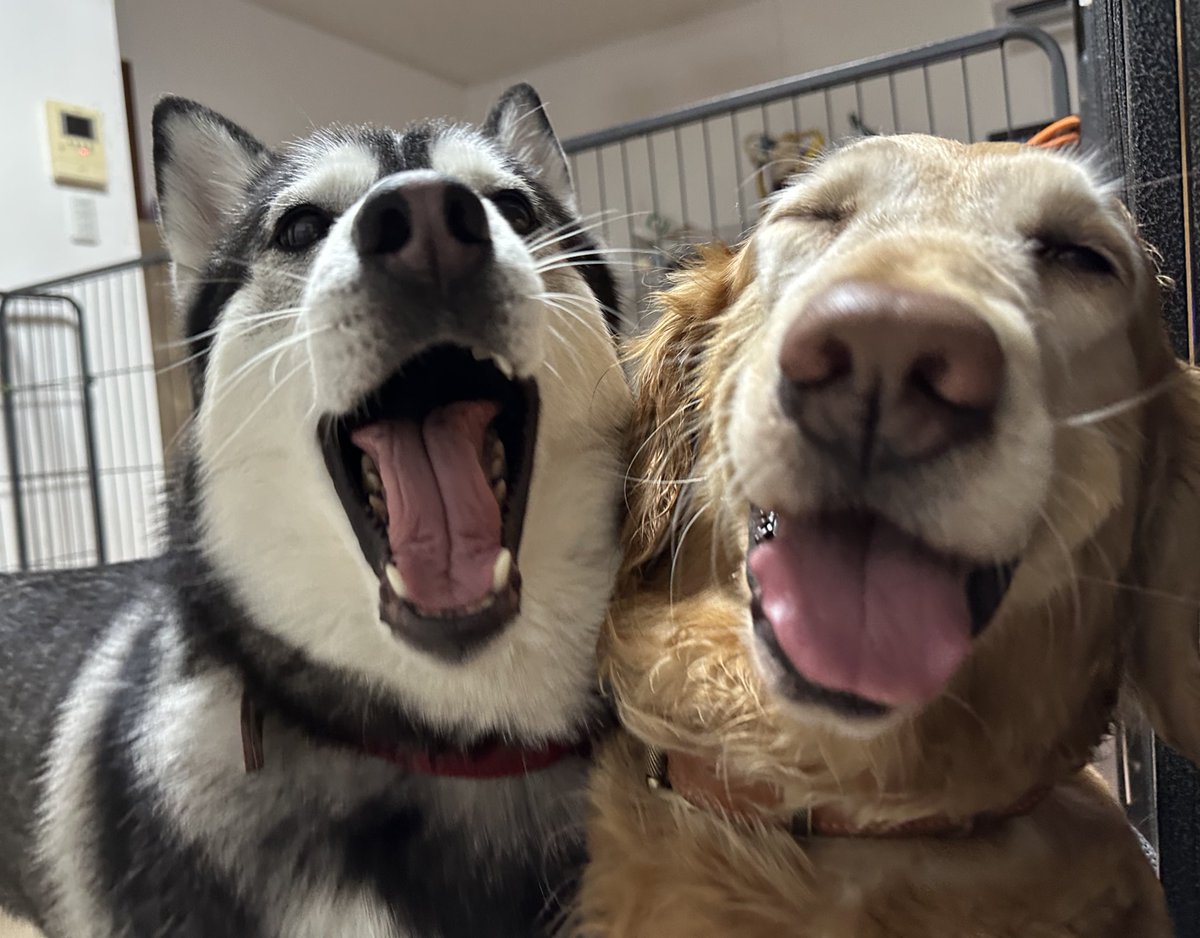 【Μοκο】 tweet media