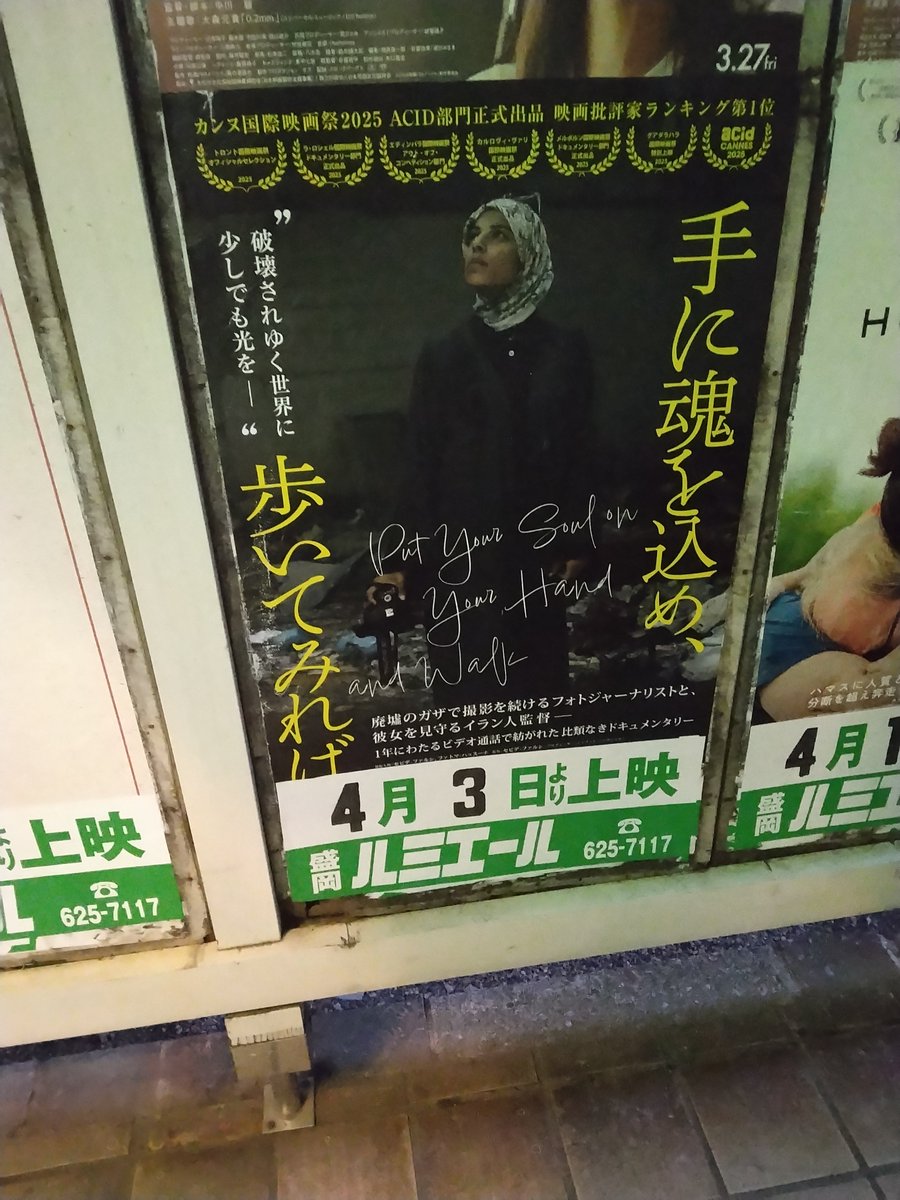 木村紅美 tweet media