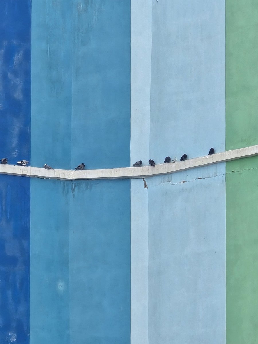 𝔻𝕒 𝕍𝕚𝕟𝕔𝕚 tweet media