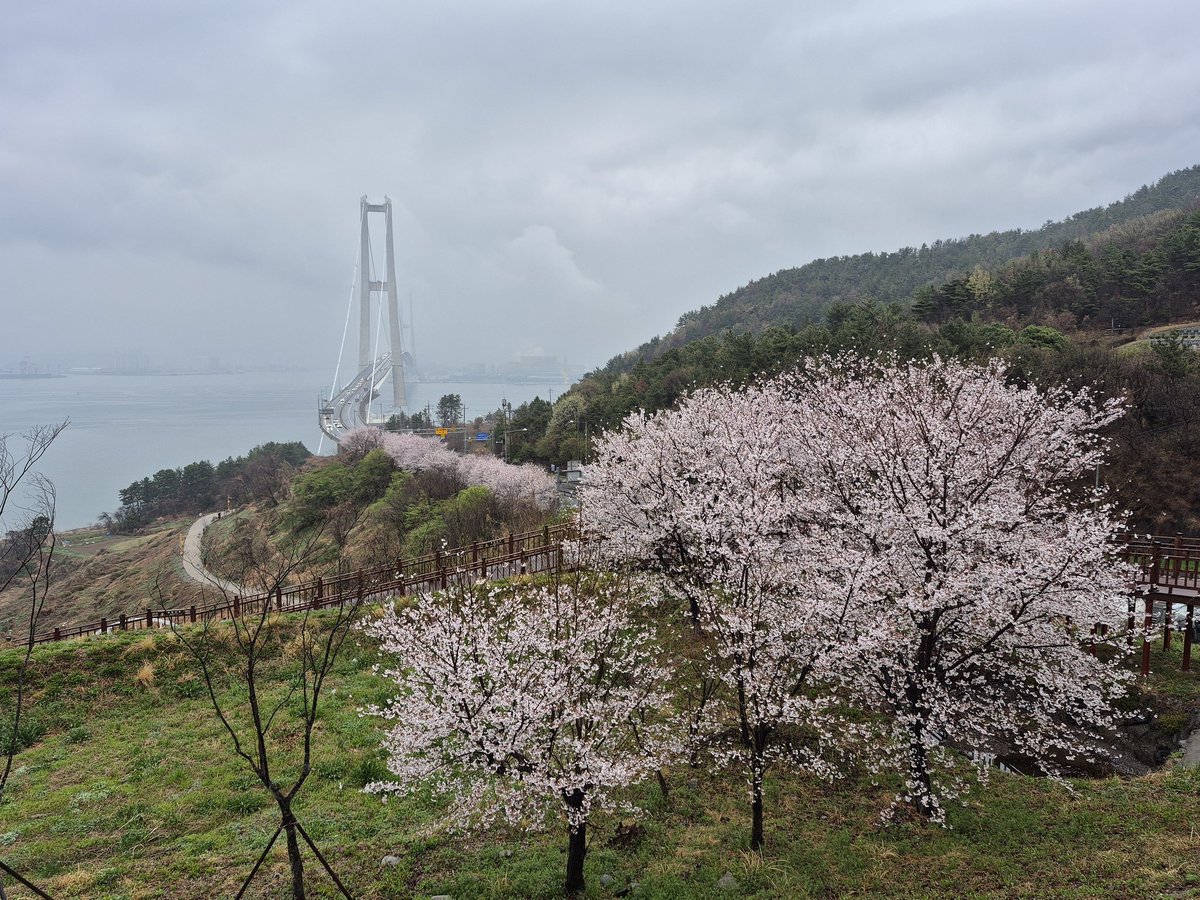 전하억ㆍ詩人 tweet media