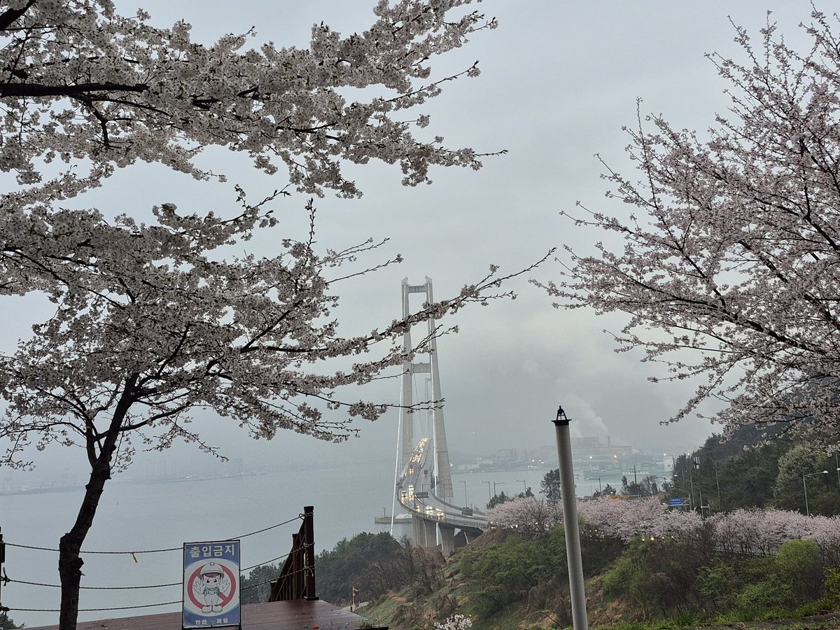 전하억ㆍ詩人 tweet media