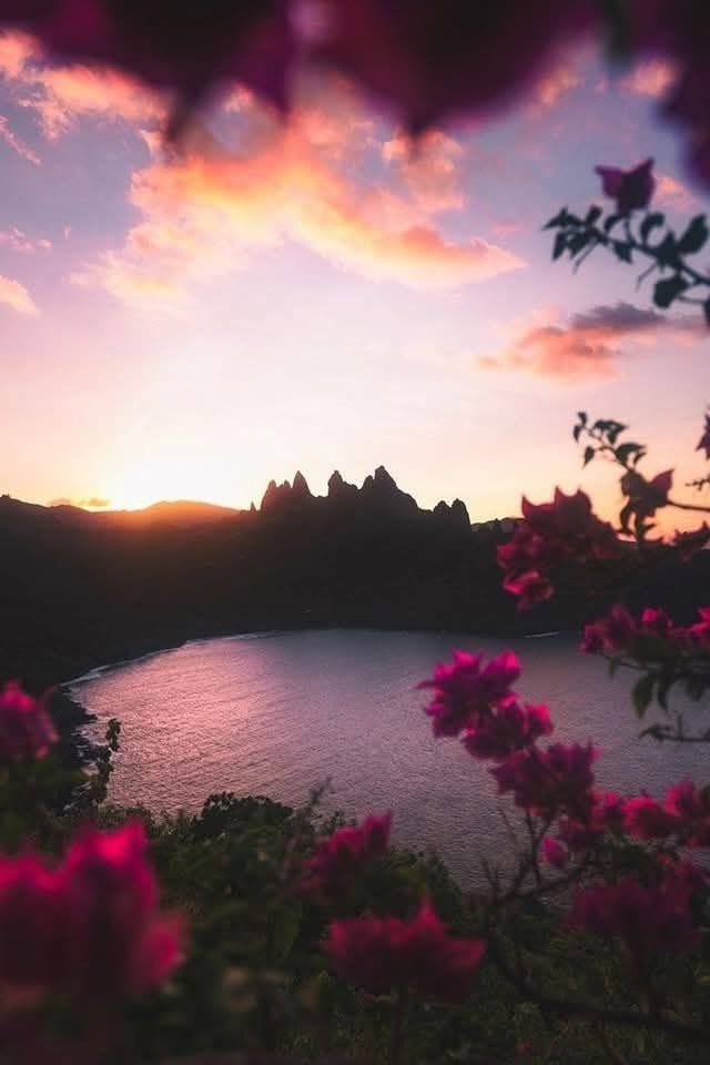 DavLucia's tweet photo. #ColoriEOmbre
#VentagliDiParole
@VentagliP 
Le ombre del tramonto ci ricordano che la vita è un’instancabile ritorno alla luce!
@AnnamariaCandy 
@Giulicat1512 
@gianna11235 
@MeryMer00748932 
@PGiallara16727 https://t.co/R1nMv7LWiI