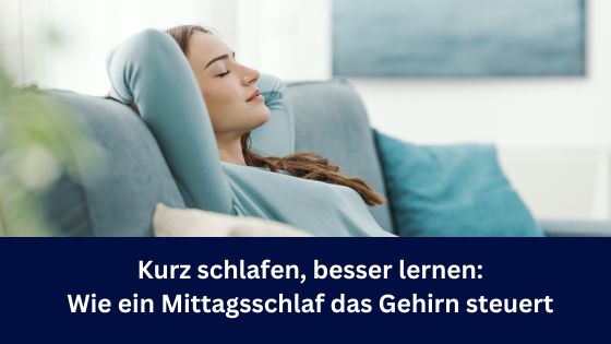 SennInfo's tweet photo. Kurz schlafen, besser lernen: Wie ein Mittagsschlaf das Gehirn neu startet https://t.co/pVqAScVtpI https://t.co/wcDmvbkUaP