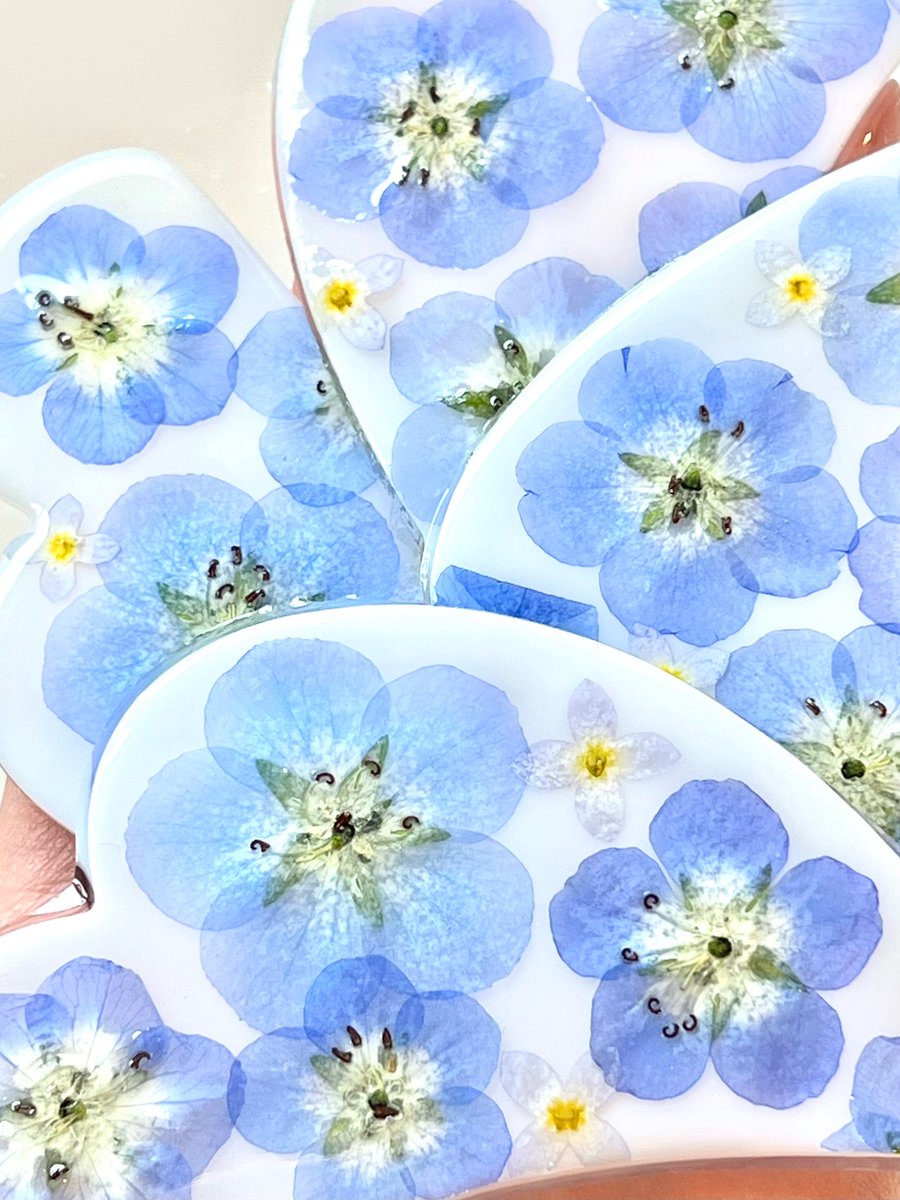 ychan_handmade's tweet photo. レジンの中のネモフィラも満開です♪
#花
#春
#レジン
#ハンドメイド https://t.co/tpdrcoIG3K