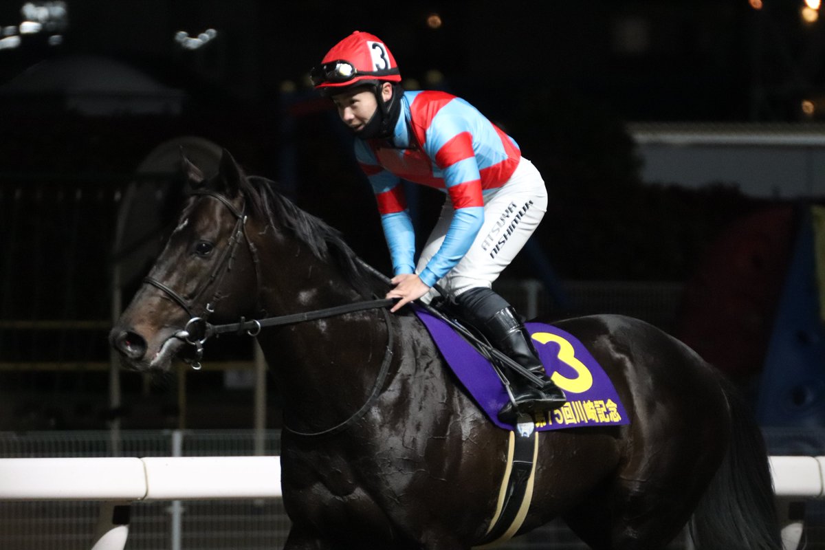 もんちゃん tweet media