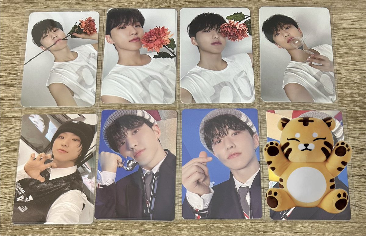 🎀✨(固ツイ必読/リプ通知不良) tweet media