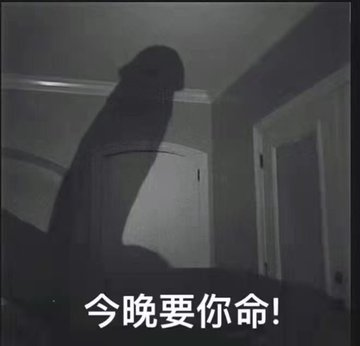 逐光护行 tweet media