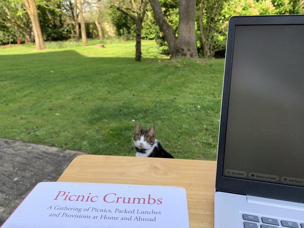 BorisJodar's tweet photo. 20 grados, soleado y sin nubes. Segundo día libre, el primero fue de desconexión. Hoy toca reconectar y darle caña a la newsletter. Mucho material en la recámara, poco tiempo para escribir. https://t.co/9qyCJhv786