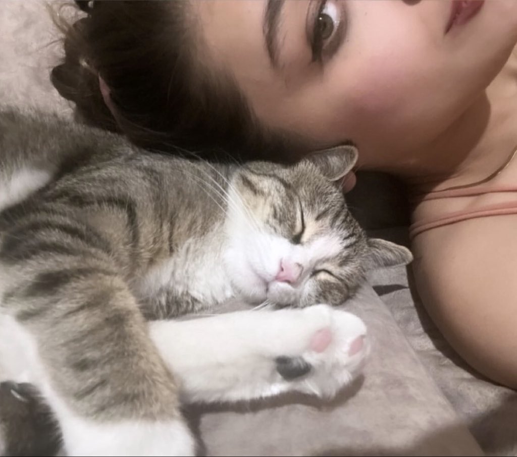 Luna 🌙🐈 tweet media