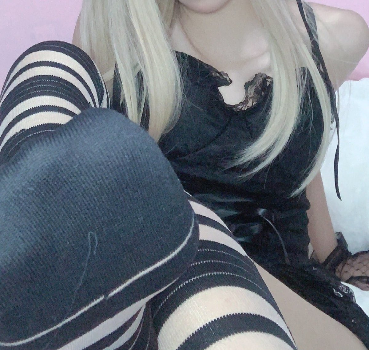 遙控貓咪 tweet media