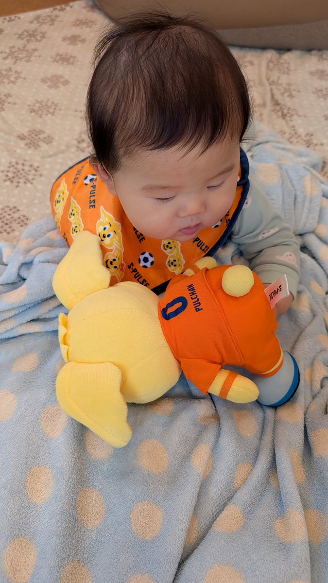 勝ちパル嬢の父(かちパパ) tweet media