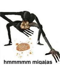 @raion.bsky.social tweet media