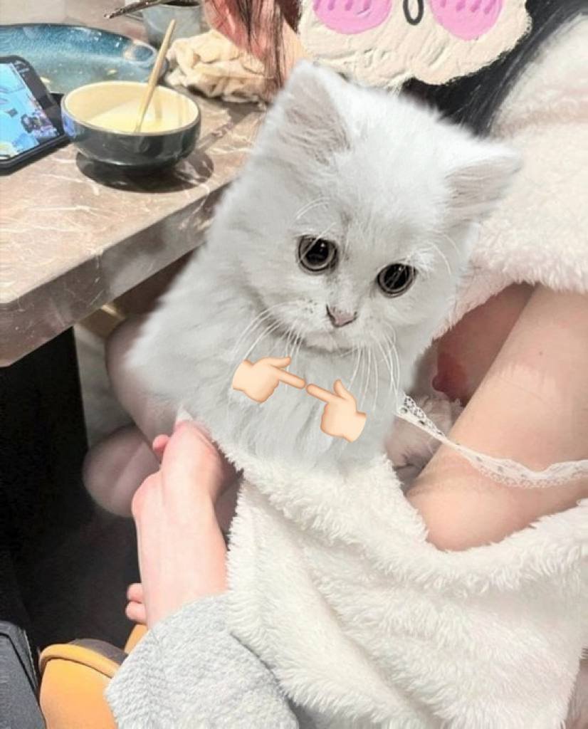 YOZI_柚 tweet media