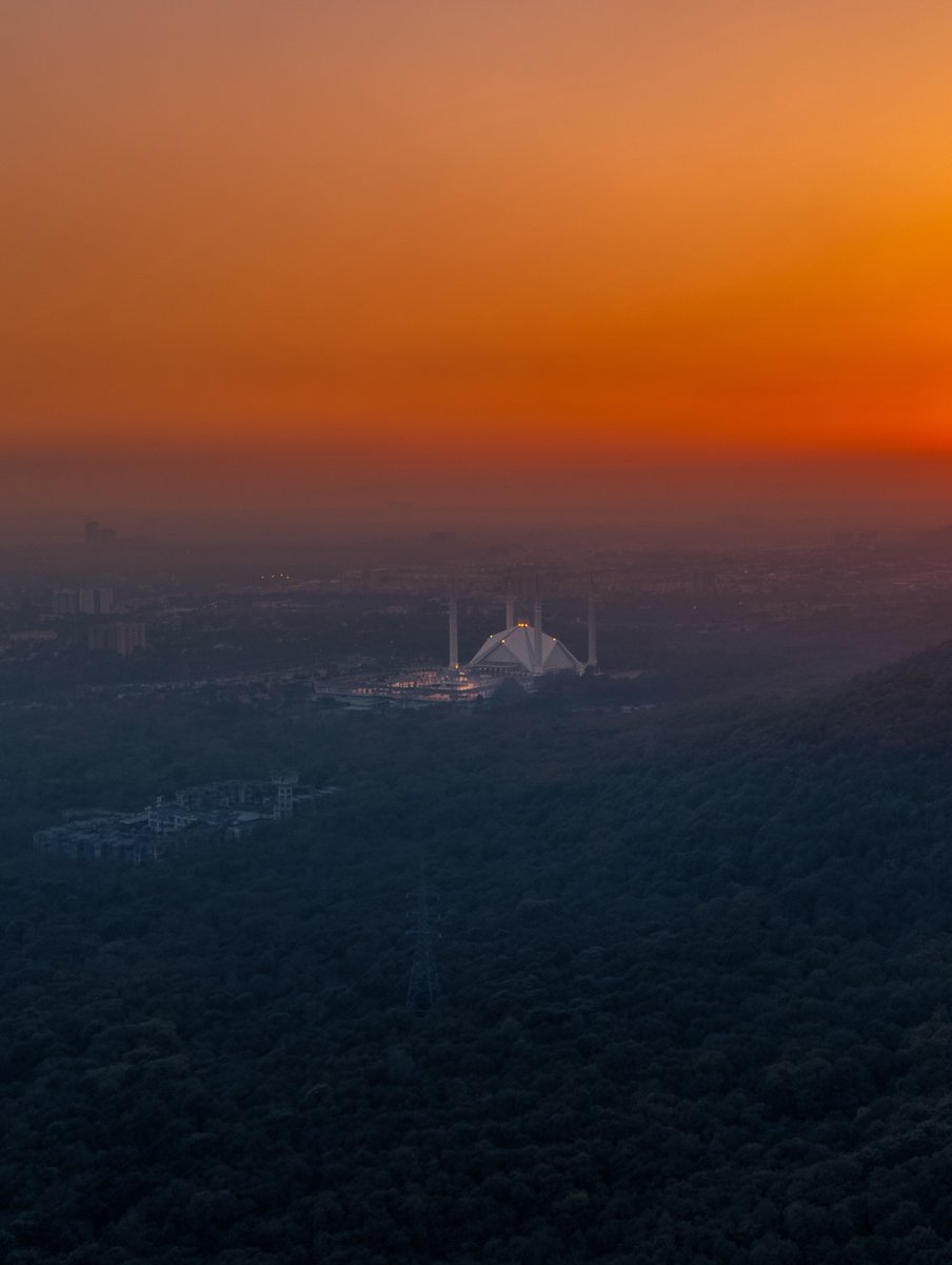 The World tweet media