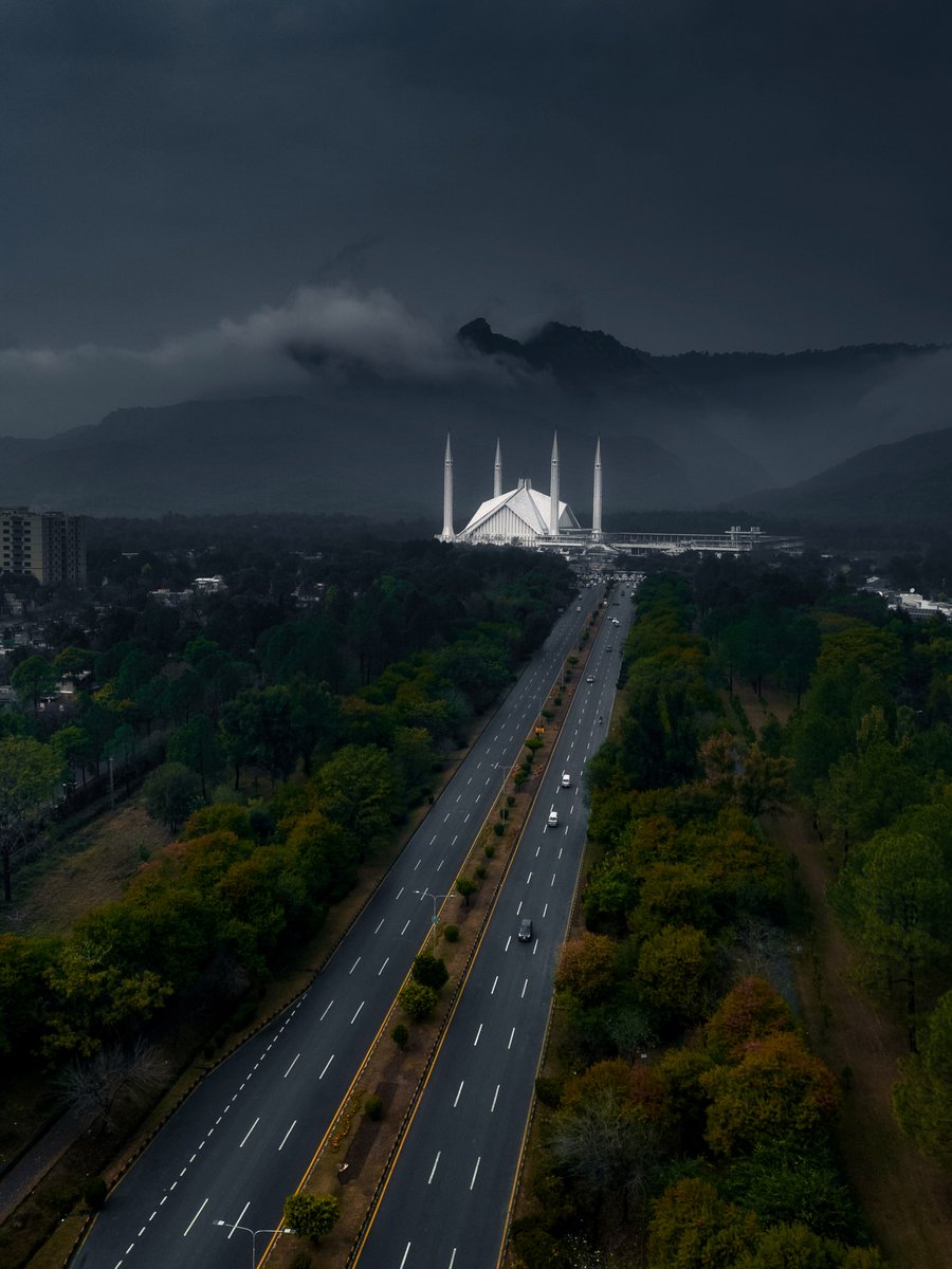 The World tweet media