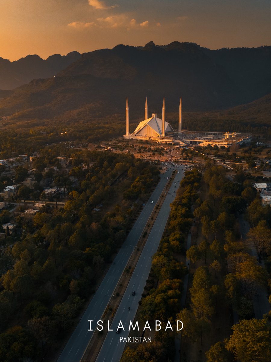 The World tweet media