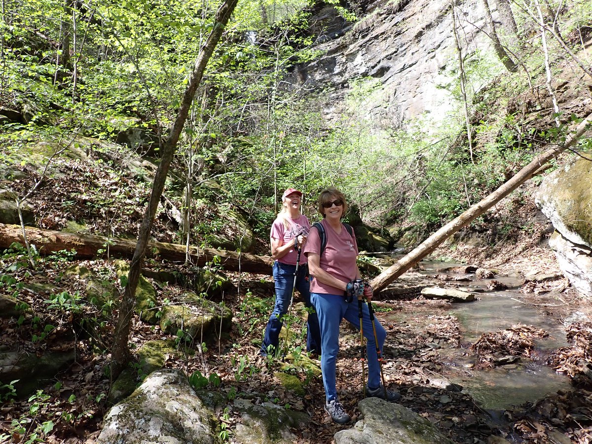 cruzzeroutdoors's tweet image. Hike #3 to Horsetail falls. That was a climb over boulders and wading the stream to get to a magnificent waterfall. My amiga Dawn got under to cool down and it was COLD. #chasingwaterfalls Arkansas , the natural state . #gohiking body in motion stays in motion.