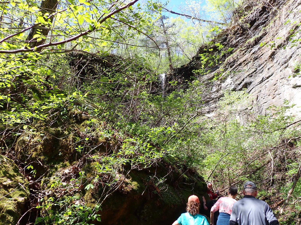 cruzzeroutdoors's tweet image. Hike #3 to Horsetail falls. That was a climb over boulders and wading the stream to get to a magnificent waterfall. My amiga Dawn got under to cool down and it was COLD. #chasingwaterfalls Arkansas , the natural state . #gohiking body in motion stays in motion.