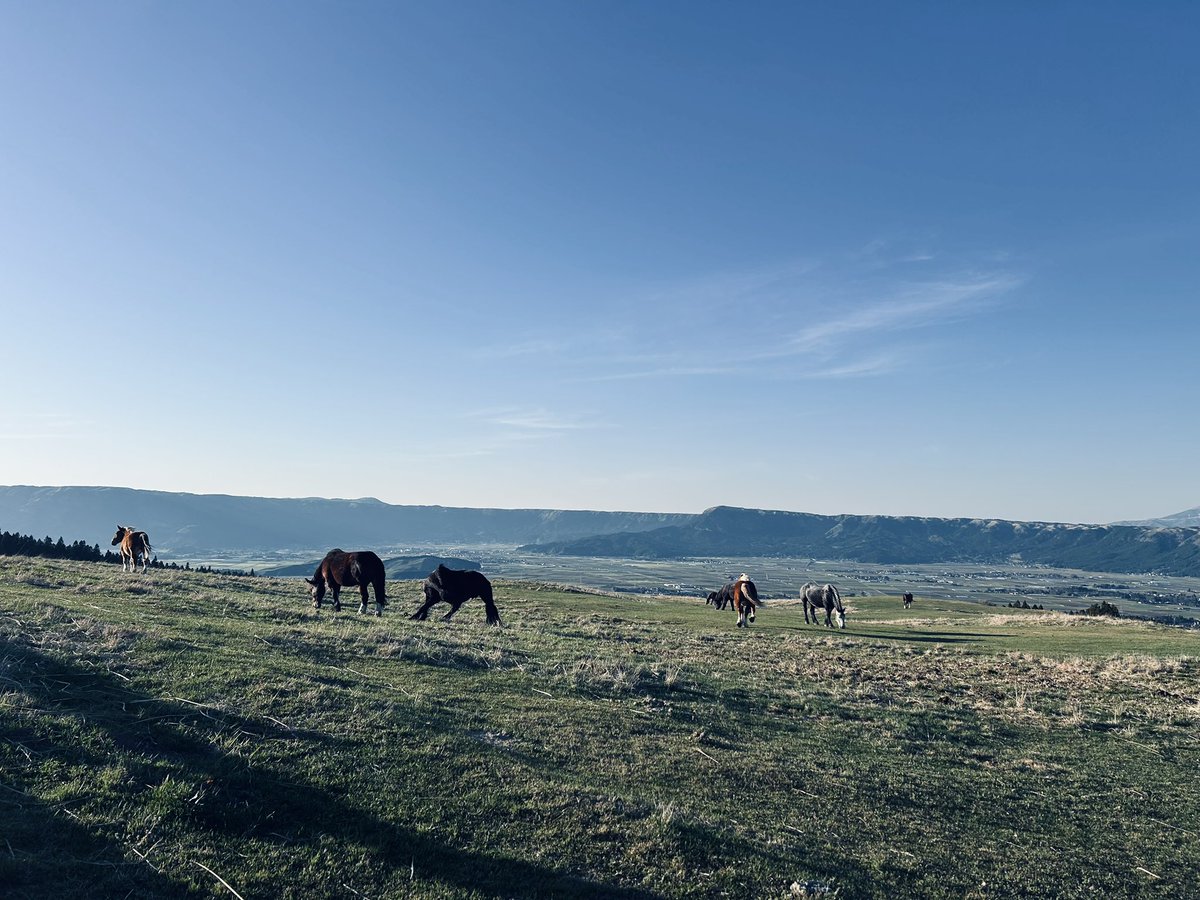 山口れいと tweet media