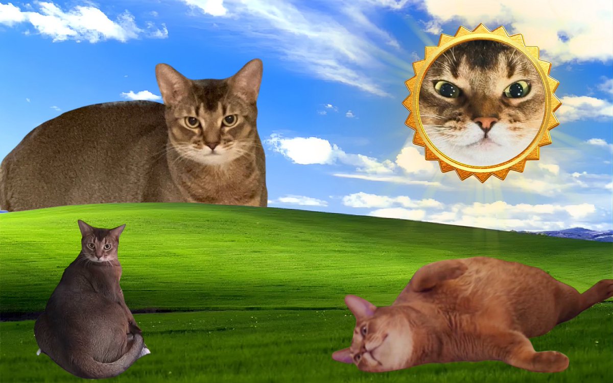 มอมอล์ ➫ SO10³ ⁿᴱʷᶜᵒᵐᵖ tweet media