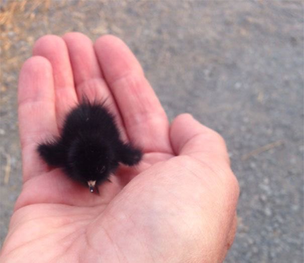 lilnumb ⦿ ☰ ☲ tweet media