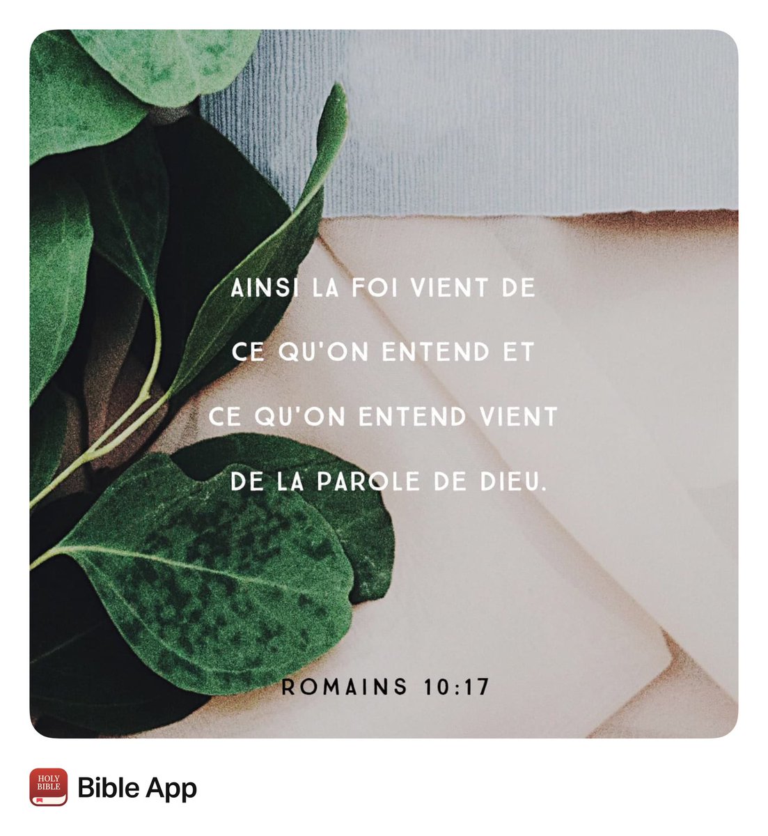 semdieudonne's tweet photo. 3️⃣6️⃣5️⃣➖9️⃣8️⃣🔵🔴
Nouveau Mois-Nouvelle JOURNÉE-Nouvelle GRÂCE
MERCI SEIGNEUR 🍵🫀🎯🙌🏾💞
#GratitudeDaily #GraceDeDieu #Avril2026
“ Pawòl BonDye ede w grandi nan Lafwa ” #KonfyansNanBonDye #Lafwa #LaviSanFenAn #AksepteJezu #GlwaPouJewova https://t.co/OjW1KlX3k6