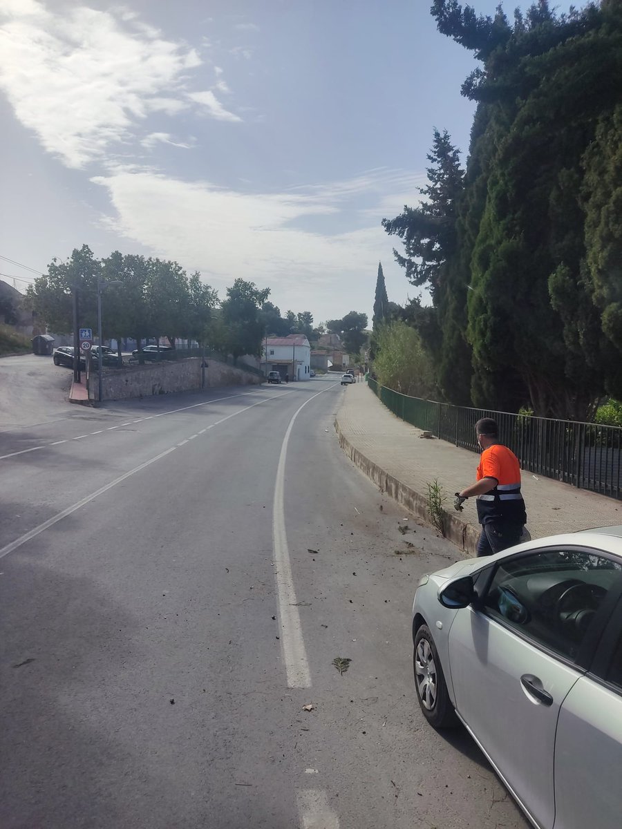 Sercomosa_News tweet media