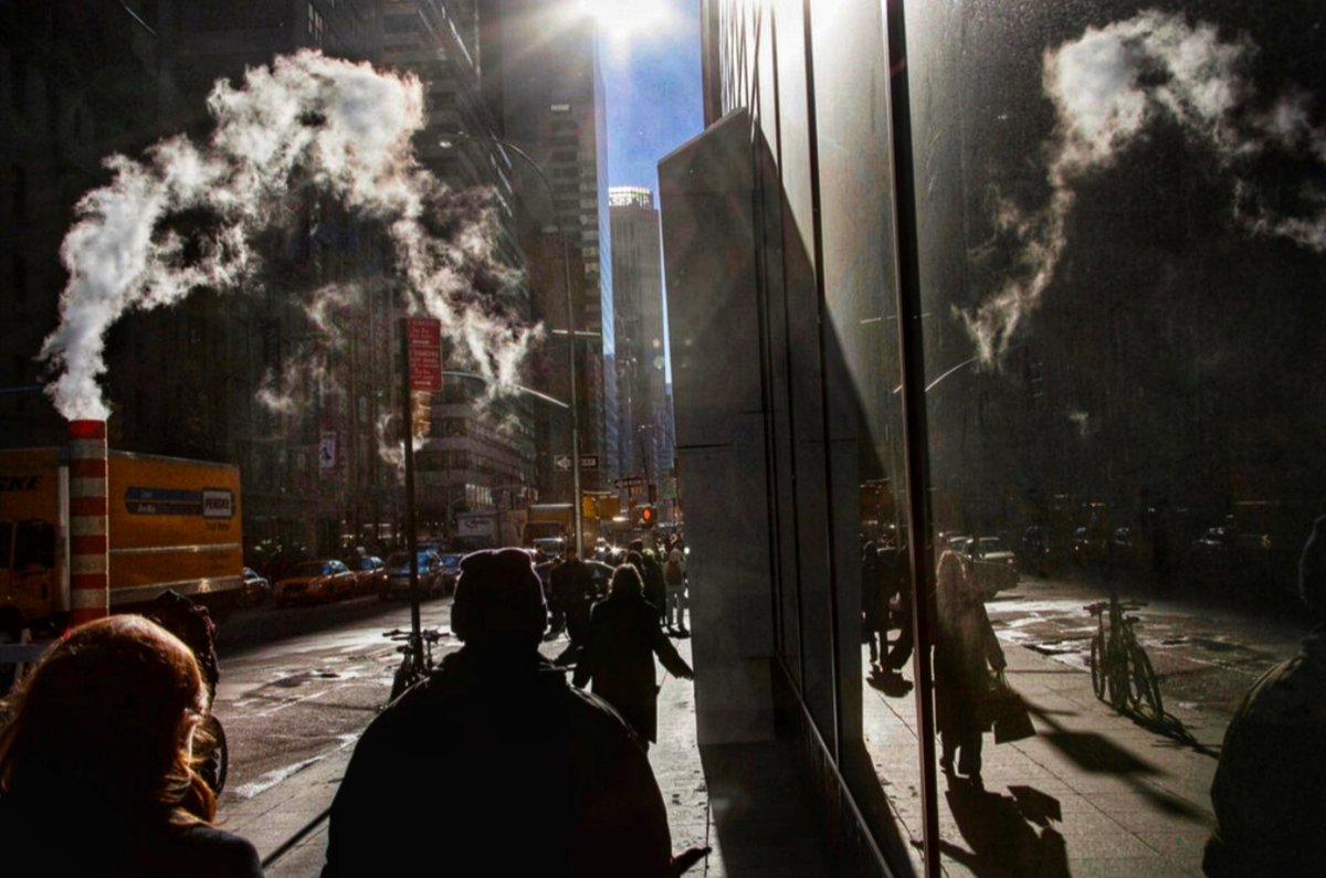 AN🌱NA tweet media