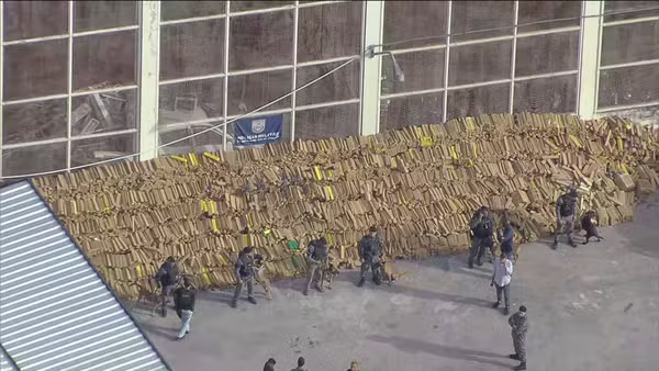 Alfred Newmann 🇧🇷 tweet media