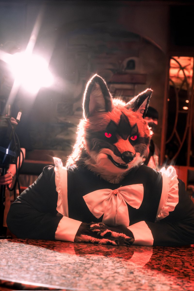 토르갈 tweet media