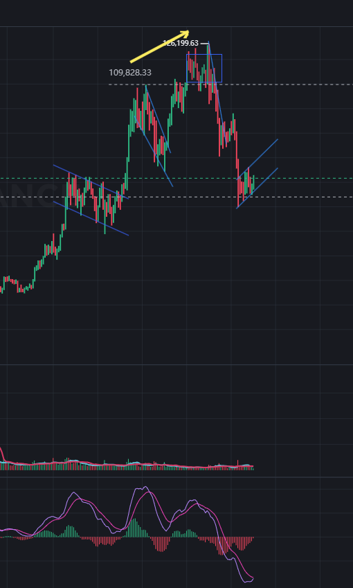 🎋八寶 tweet media