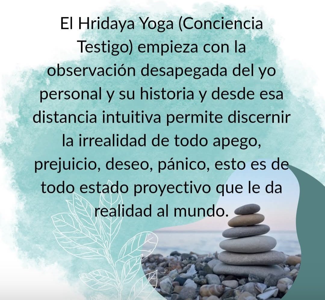 Ser Espiritual tweet media
