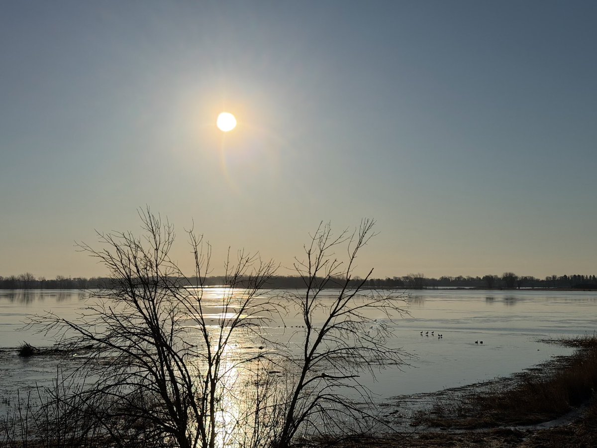 🌞Lise Gagné 📱📷🇨🇦⚜️🌎🙏🏼 tweet media