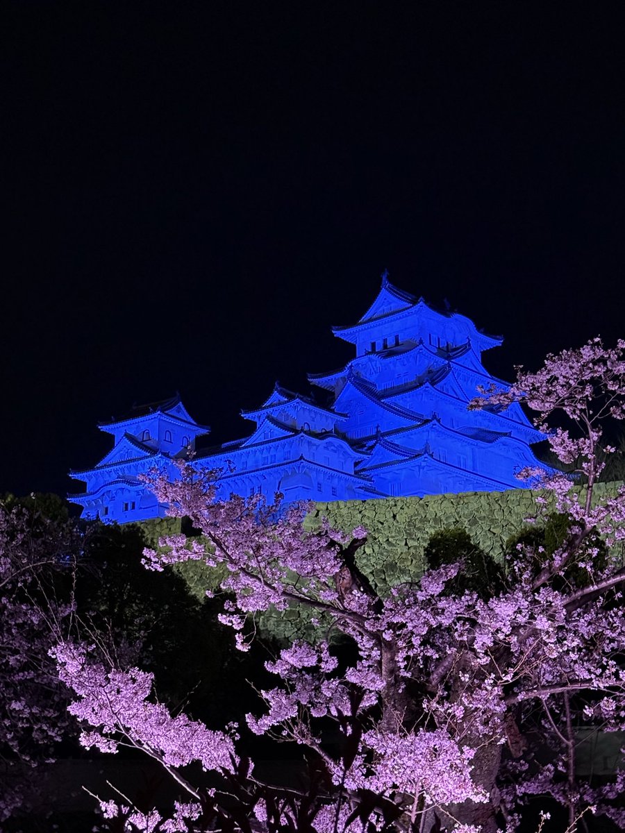 hero_kei's tweet photo. 夜桜最高！ https://t.co/sbmtqeQw8p