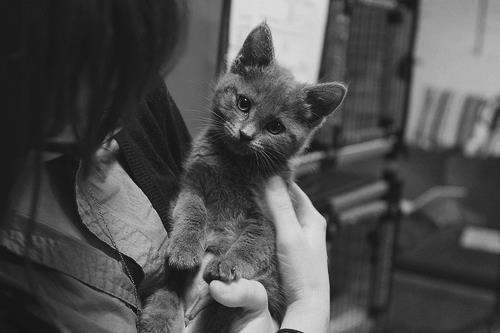 Bronze Age Router tweet media