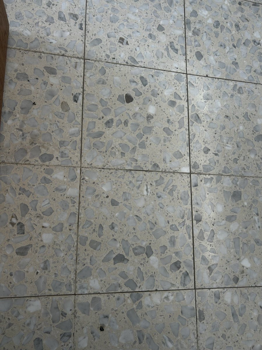 ממש תמר tweet media