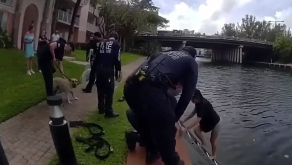 El Becario tweet media